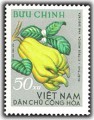 Quả Việt Nam