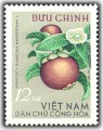 Quả Việt Nam