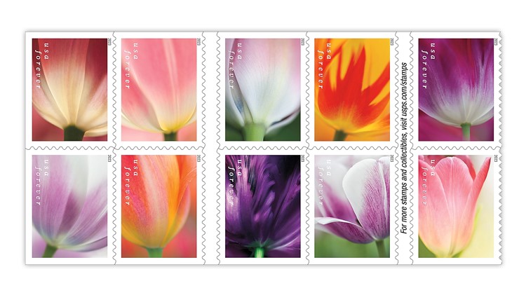 Hoa Tulip khoe sắc trên tem Bưu chính Mỹ