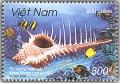 Ốc gai biển Việt Nam