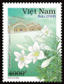 Hà Nội 12 mùa hoa (Bộ 2)