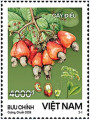 Cây Điều