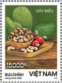 Cây Điều