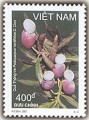 Quả rừng (Tem phổ thông)