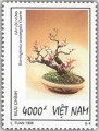 Cây cảnh Việt Nam