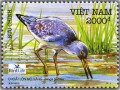 Chim quý hiếm ven biển Việt Nam