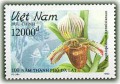 Hoa phong lan (Kỷ niệm 100 năm thành phố Đà Lạt)