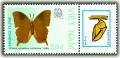 Triển lãm tem Thế giới In-đia‘89 (Bướm)