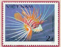 Cá dị hình