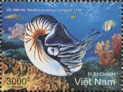 Biển, đảo Việt Nam: Sinh vật biển