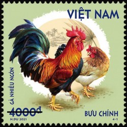 Gà bản địa Việt Nam 