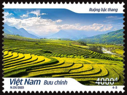 Ruộng bậc thang 