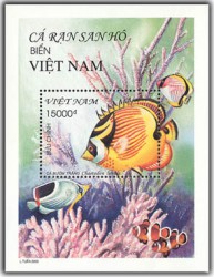 Cá rạn san hô biển Việt Nam