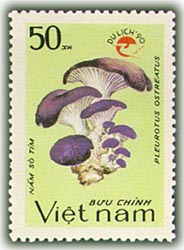 Du lịch (in đè biểu trưng Du lịch Việt Nam)