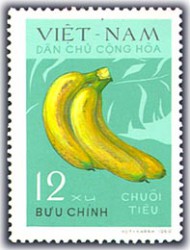 Chuối Việt Nam