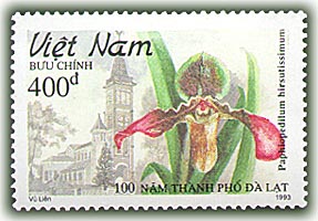 Hoa phong lan (Kỷ niệm 100 năm thành phố Đà Lạt)